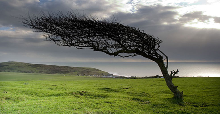 Total Total Carpentry